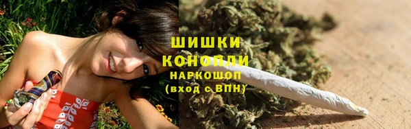 индика Горно-Алтайск