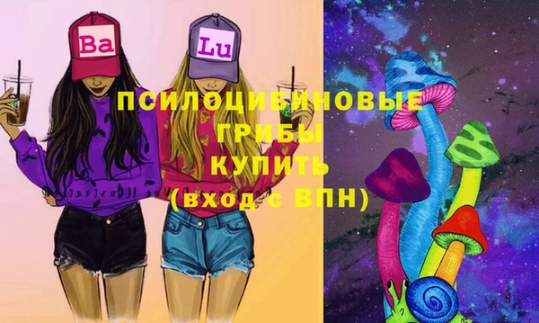 индика Горно-Алтайск