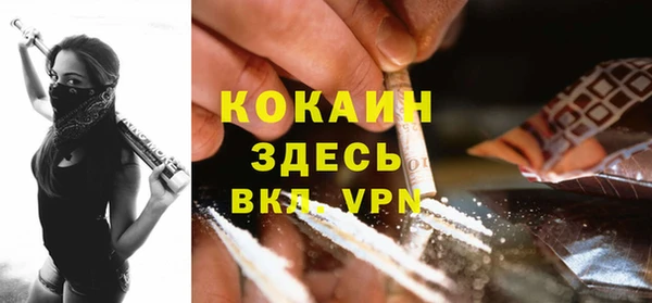 ПСИЛОЦИБИНОВЫЕ ГРИБЫ Горнозаводск