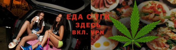 индика Горно-Алтайск