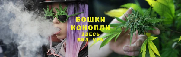 эйфоретик Горняк