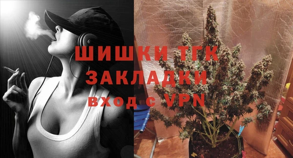 индика Горно-Алтайск