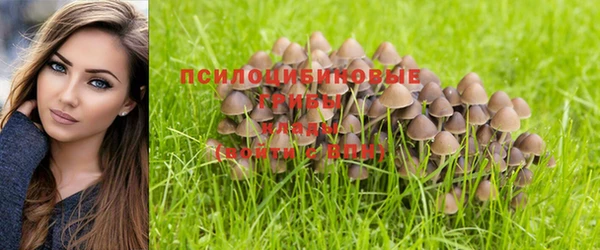 эйфоретик Горняк
