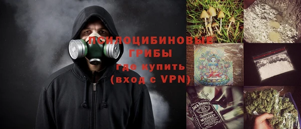 ПСИЛОЦИБИНОВЫЕ ГРИБЫ Горнозаводск