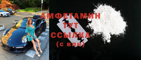 индика Горно-Алтайск