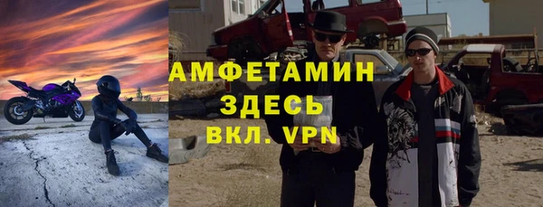 индика Горно-Алтайск