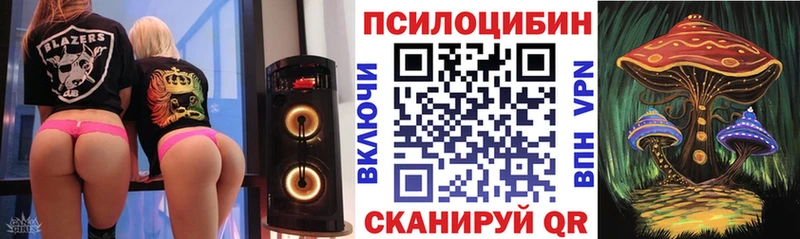 Купить где  Лобня  Псилоцибиновые грибы Cubensis 
